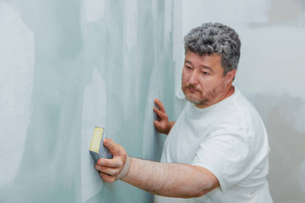 Best Wallpaper Removal and Painting  in Seville, OH